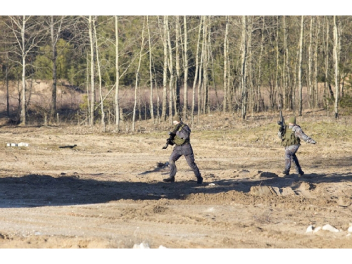 Teismas sustabdė kariuomenės skelbtą medžių kirtimo Gaižiūnų poligone konkursą